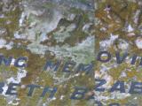 image of grave number 525525
